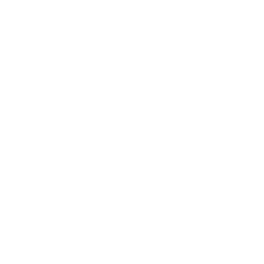 Government